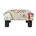 Jennifer Taylor Home Jules Collection Contemporary Nailhead Trim Accent Ottoman Bench, Multicolor/Floral Print