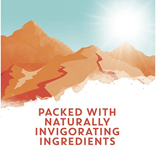 Tazo Green Tea Bags Energizing Hot Tea Energize High Caffeine 1.41 Oz 20 Tea Bags, Pack Of 6 #TOP2