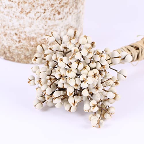 Ericetion 20 Pcs/Jeu De Coton Naturel Boules De Coton Séchées Plantes De Fleurs Sèches Vrais Fruits Blancs Bouquet De Fruits Fleurs Décoratifs Bricolage Mariage Décoration De Mariage, Blanche – vue 5