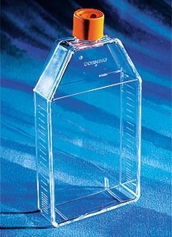 Corning 150cm² Rectangular Canted Neck Cell Culture Flask with Phenolic-Style Cap
