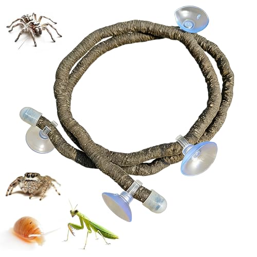 Plantas Sintéticas Flexibles: Paisaje De Vivero Flexible, Follaje De Bosque Falso, Artículo De Vivienda Para Anfibios De Serpientes, Vegetación De Fondo Realista | Hojas Colgantes Falsas Para Ambiente