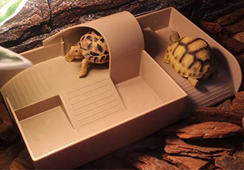 View of PETSOOO Tortoise Drying Platform, Turtle Basking Platform, Landing ...