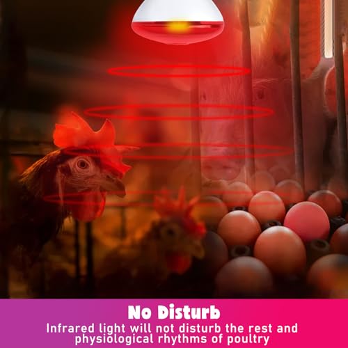 image for LUCKY HERP Infrared Heat Lamp for Chickens, 250 Watt Red Heat Lamp Bul