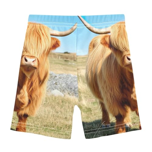 Joisal Under Dress Shorts Funny Cotton Toddler Girls Biker Shorts 4t Baby Kids Scottish Highland Cow Field2