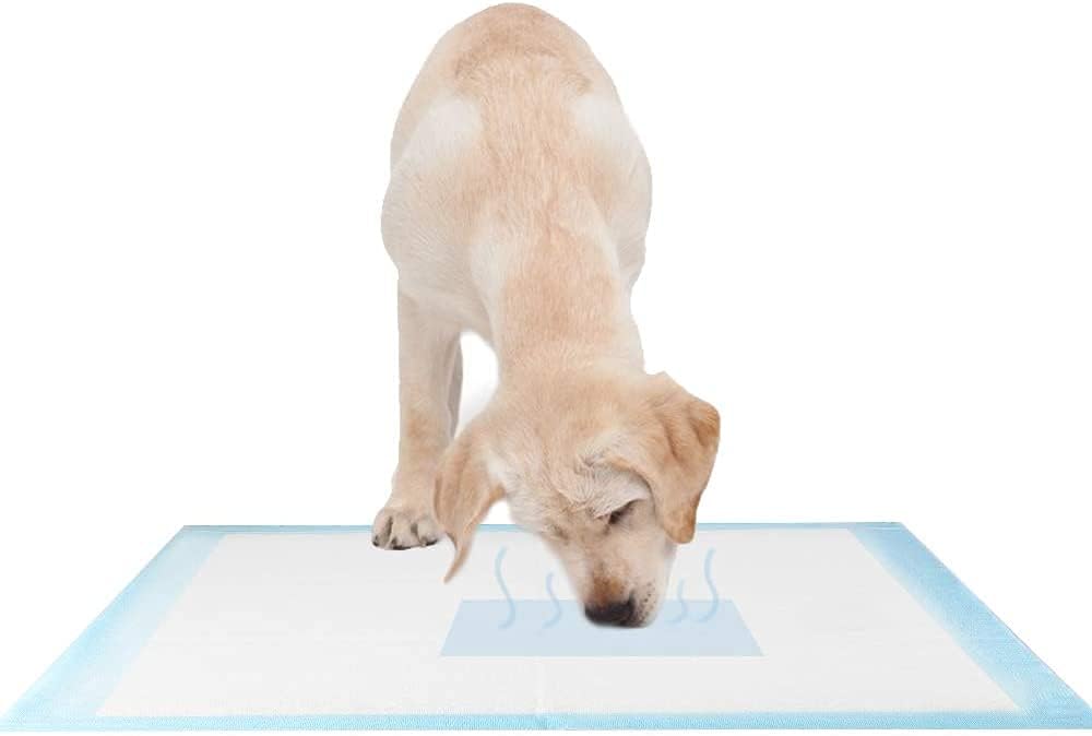 Dog Training Pad Puppy Pads Pee Pads for Dogs, Disposable Dog Training Pads, Dog Pee Pads, Potty Training Pads for Dogs, Dog Crate Pads (M(18"x24"), 50)