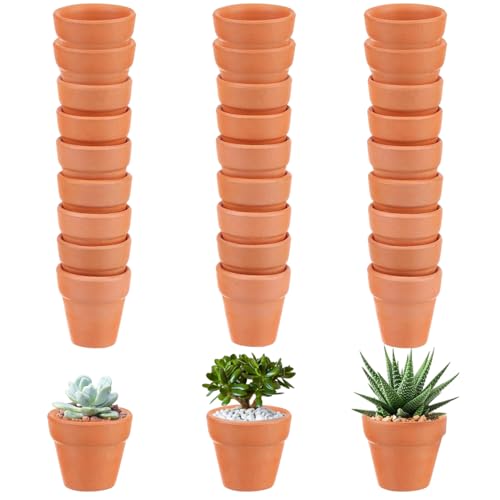 【Set 30 Vasi per Piantine】questi 30 vasi in terracotta sono perfetti per una varietà di progetti di giardinaggio.Diametro superiore:3 cm; diametro della base del vaso:3 cm; i vasi di terracotta possono essere usati come regali o decorazioni per la casa.