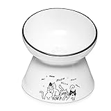 Y YHY Elevated Cat Bowl, Tilted Raised Cat Water Bowl 6-Inch Ceramic Cat Food Bowl Anti Vomiting for Dry & Wet Foods Cat Dish for Indoor Cats, Small Dogs,Protect Pet's Spine