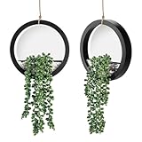 Der Rose 2 Pack Fake Plants Hanging Artificial Succulents Plants in Black Pots for Living Room Bathroom Accessories Boho Farmhouse Wall Decor