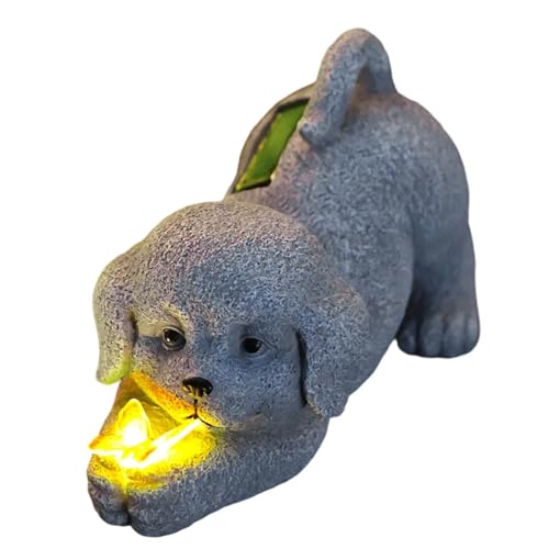 Lumières Solaires Chien Extérieur pour Sécuriser un Porche Sombre