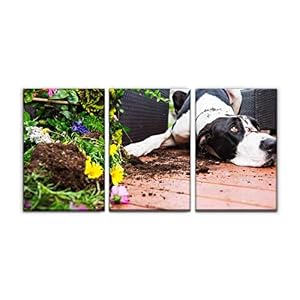 Image of Gracelapin Modern Canvas Painting Dog Digging in Garden Funny Dogs and Pictures Wall Art Artwork Decor Printed Oil Painting Landscape Home Office Bedroom Framed Decor (16"x24"x3pcs)