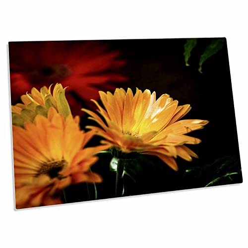 3dRose Desk Pad con diseño de margaritas amarillo y rojo