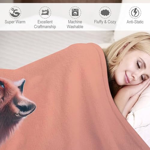 Couverture lit originale renard, le cadeau idéal et utile pour réchauffer vos proches