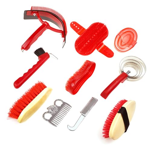 Brosses professionnelles pour cheval avec outils de massage et de finition