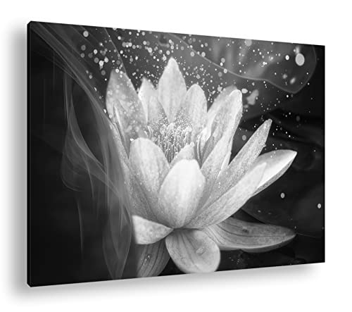 Cadre bois véritable avec impression Lotus Nénuphar 90x60cm noir et blanc haut de gamme