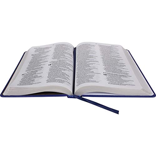 Bíblia Sagrada Almeida Revista e Atualizada - Capa Cruz Luz: Almeida Revista e Atualizada (ARA)