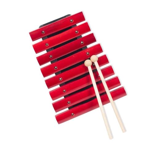 Glockenspiel Professional Intonation 8 Note Glockenspiel Percussionist Playing Xylophone