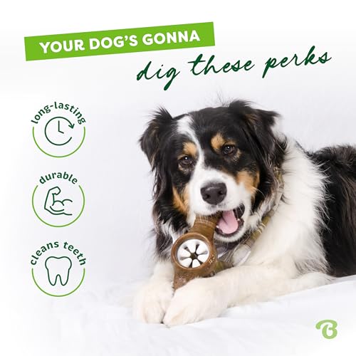 Image of Benebone Pawplexer Interactive Treat Dispensing Tough Dog Puzzle Chew Toy, Made in USA, Medium, Real Bacon Flavor