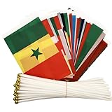 [Snughom]万国旗 100ヶ国 連旗 ポリエステル製 長さ30m 運動会 国際交流 スポーツ応援 装飾用 コンパクト収納可 日本国旗付き 文化祭 ワールドカップ 対応