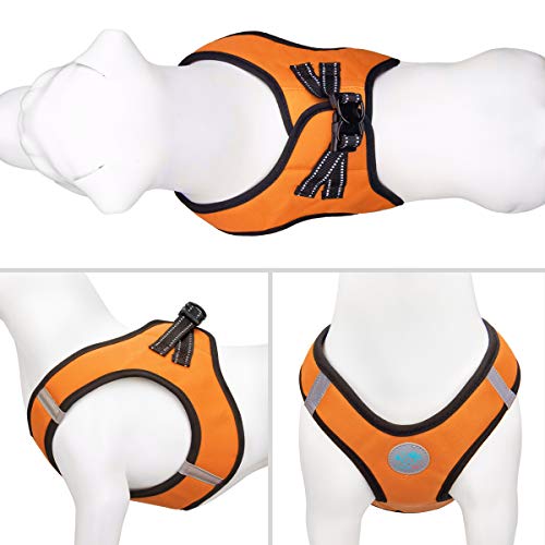 Phoepet Step-In Dog Harness And Leash Set, Reflective Adjustable Dog Vest Harness, Soft Pet Walking Jacket With 2 Metal Leash Hooks For Dog And Cat (Orange, M) #TOP1