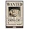 Amazon.com: Trends International One Piece - Roronoa Zoro Wanted Poster ...