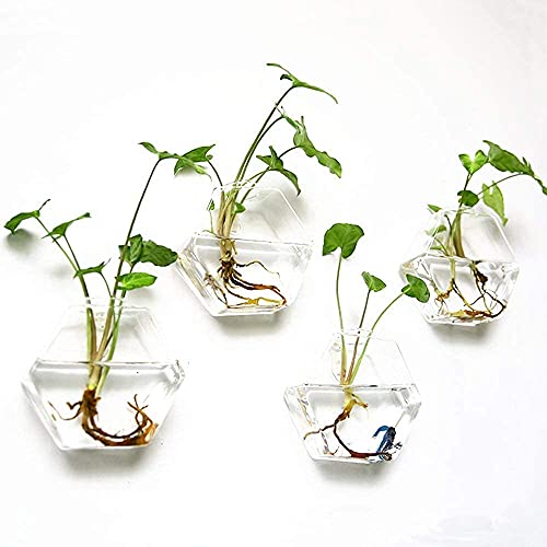 Kingbuy Wall Hanging Planter Glass Propagation Terrarium 3 Hexagon Shape And 4 Square Shape Flower Vase For Home Office Christmas Decor #TOP4
