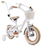 sun baby Flower Bike Vélo Enfant Fille 12 Pouces, dès 2 Ans, avec Petites Roues, Barre de Poussée, Panier, Sonnette, Frein V Brake (Blanc Beige, 12 Pouces)
