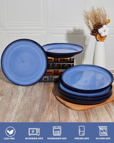 Image of Pokini Ceramic Dinner Plates Set of 6, 10inch Salad, Dessert Plates Dishes | Reactive Glaze Stoneware Dish Set, Dinner Plate for Dessert, Salad, Appetizer, Microwave & Dishwasher Safe, Scratch Resistant