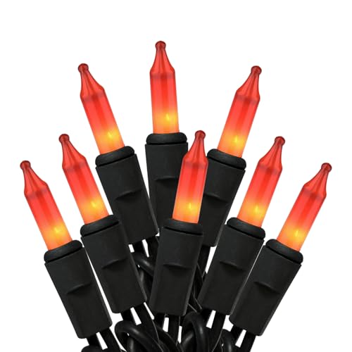 HISHINY Orange Halloween Lights, 100 Count Incandescent Lights String with Black
