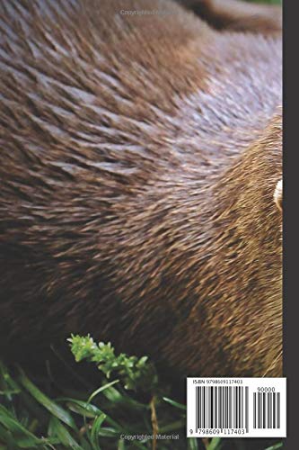 Otter Notebook: Small lined Otter notebook - Travel Journal to write in - 120 pages - 6"x9" - Image 2