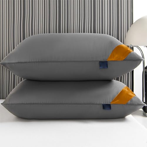 Set 2 Almohadas de Plumas 69.9x41.9 cm Confortables miniatura 6