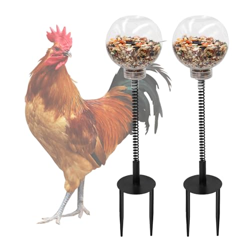 Dnoifne Lot de 2 Jouets d'Enrichissement pour Poules - Mangeoire Balançoire et Distributeur Lent | Compatible Volailles, Canards, Perroquets