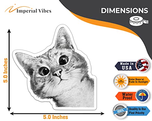 Imperial Vibes | Peeking Cute Cat | Vinyl Decal For Car Truck Van Suv Window Wall Cup Laptop, Waterproof Vinyl Window Bumper Sticker | 2Pack 5X5 Inches | - Imp 31 #TOP5