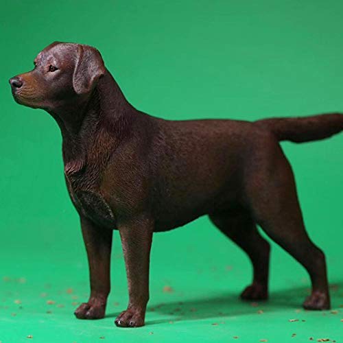 Modèle Haut De Gamme Mâle Chien Labrador Retriever statue Kelieqa 1/6