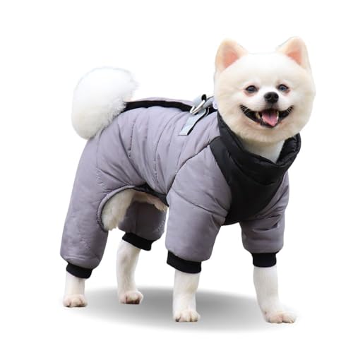 PETFiND   ~ n[lX̌^hȂWp[ 4J[ ^ ^ ^ U h XXL,O[