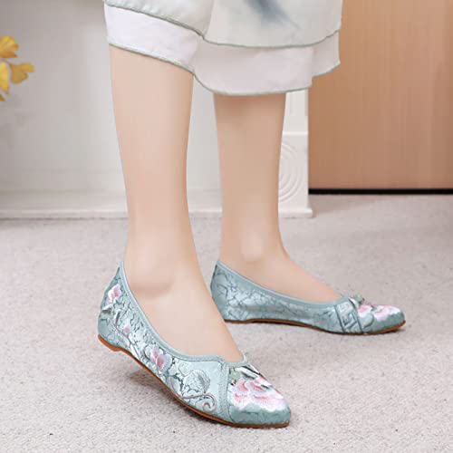 Women's Classic Ballet Flat Flats Shoes Pointed Toe Slip On4