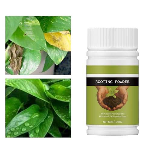 YRTUOP �A���������i�� | �h�{���� ���n���^�C�v - �A���ւ��A���p�����엿 �엿 - �ʎ� �����A�� ��� �� �A�W�T�C �|�g�X ��ؗp