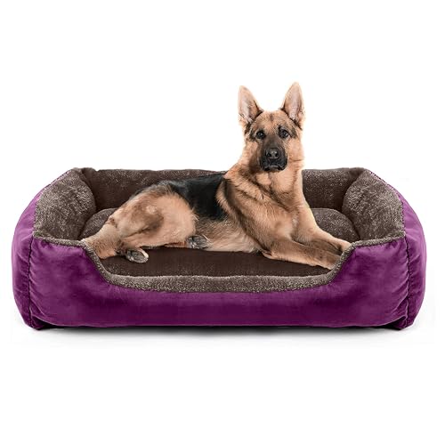 Image of SITSNOOZE Dog Beds Dogs & Cats, Rectangle Washable Pet Bed Comfortable and Breathable Pet Sofa Warming Orthopedic and Non-Skid Bottom (Reversible) (Brown & Purple, M)
