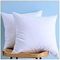 Set of 2, Cotton Fabric Two Pillow Inserts, Down and Feather Throw Pillow Insert, Decorative Pillows Inserts, Have Many Different Sizes, Please Choose the Suitable Size Pillow Inserts, 18X18 Inches