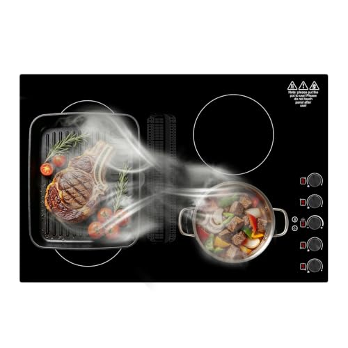 GTKZW Induction Cooktop with Downdraft