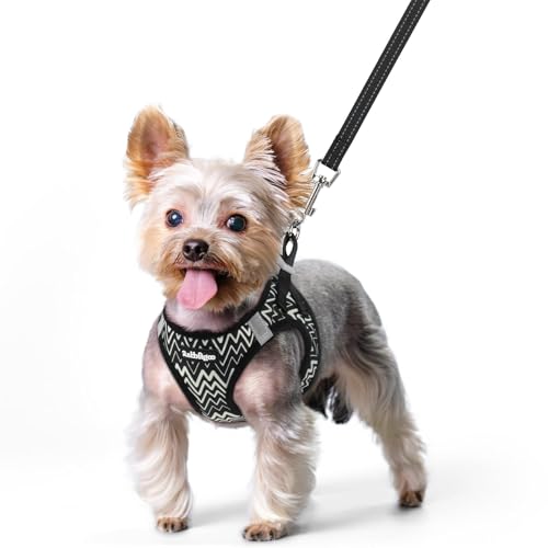 Image of rabbitgoo Dog Harness Small Sized and Leash Set, Step-in Puppy Pet Vest
