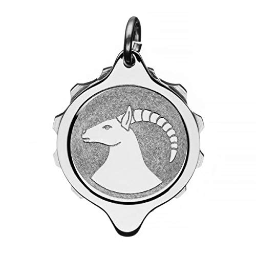 SOS Talisman Anhänger Edelstahl, Sternzeichen Steinbock, Notfallkapsel für wichtige medizinische Informationen