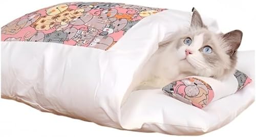 Barino LpQ O\A􂦂 LpLxbh gL ~p LnEX L Lp p Lzc Lp g _炩 ӂӂ ~p t[Xn h _炩p lG (M,sN)