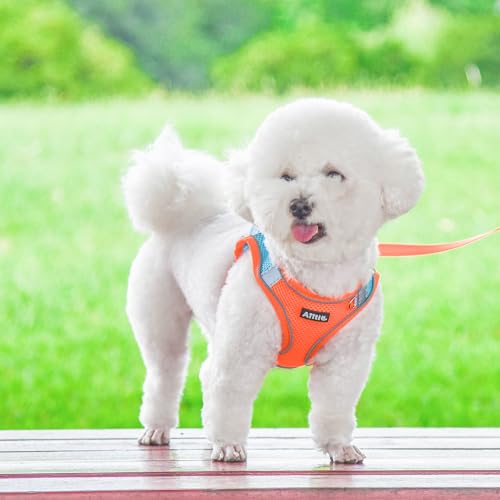 Image of AIITLE No Pull Dog Harness and Leash Set, Step in Adjustable Dog Harness with Padded Vest for All Weather, Dog Leash with Soft Padded Handle, Easy to Put on Small and Medium Dogs Orange S