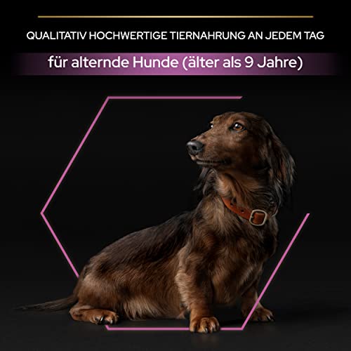 Pro Plan Small und Mini Adult Age Defence 9+, Hundefutter trocken, reich an Huhn, 1er Pack (1 x 3 kg)