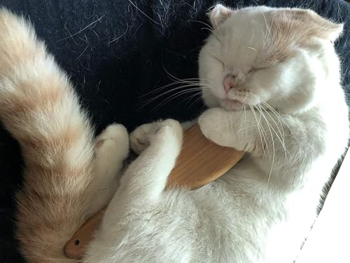 Patina Haustier-Pflegebürste, natürliche Bambus-Borsten, Bürste für mattierte Kurz- und Langhaare, Hunde und Katzen, sanfte und einfache Fellpflege, Massage