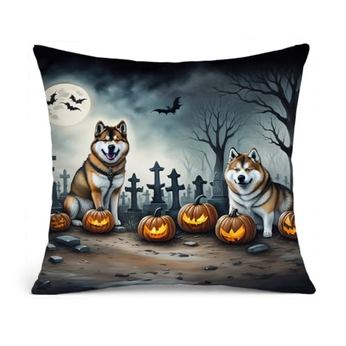 Caroline's Treasures DAC2005PW1414 Akita Spooky Halloween Fabric Decorative Pillow Machine Washable, Indoor Outdoor Decorative Pillow for Couch, Bed or Patio, 14Hx14W