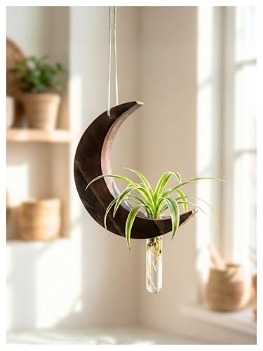 Image of Hanging Moon Planter with Wooden Holder & Rope | Test Tube Design, Indoor Stand, Home Decor, Living Room & Balcony, Office Decoration