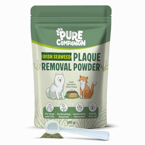 PURE COMPANION Plaque Off & Tartar Remover Powder for Dogs & Cats 100g | No Toothbrush Required |100% Irish Natural Seaweed Teeth Cleaner & Breath Freshener