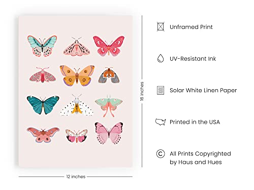 Haus And Hues Vintage Butterfly Posters & Butterfly Prints - Butterfly Poster Vintage Butterfly Art Wall Decor & Butterfly Art Prints Monarch Butterfly Wall Art & Butterflies Print Unframed (12"X16") #TOP1