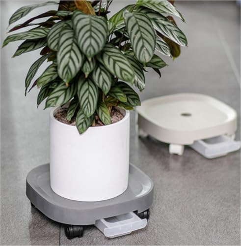 Chariot à plantes blanc 24cm pour déplacer vos pots sans effort
